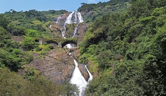 Mollem National Park & Bhagwan Mahavir Wildlife Sanctuary